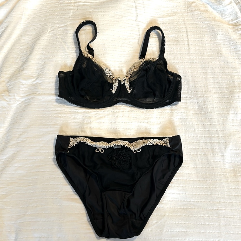 Felina Lingerie bra and panty bundle